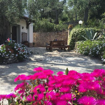 Azienda Agricola B&B Macchiaria Vieste Exterior photo