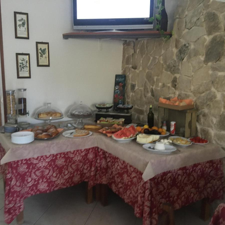 Azienda Agricola B&B Macchiaria Vieste Exterior photo