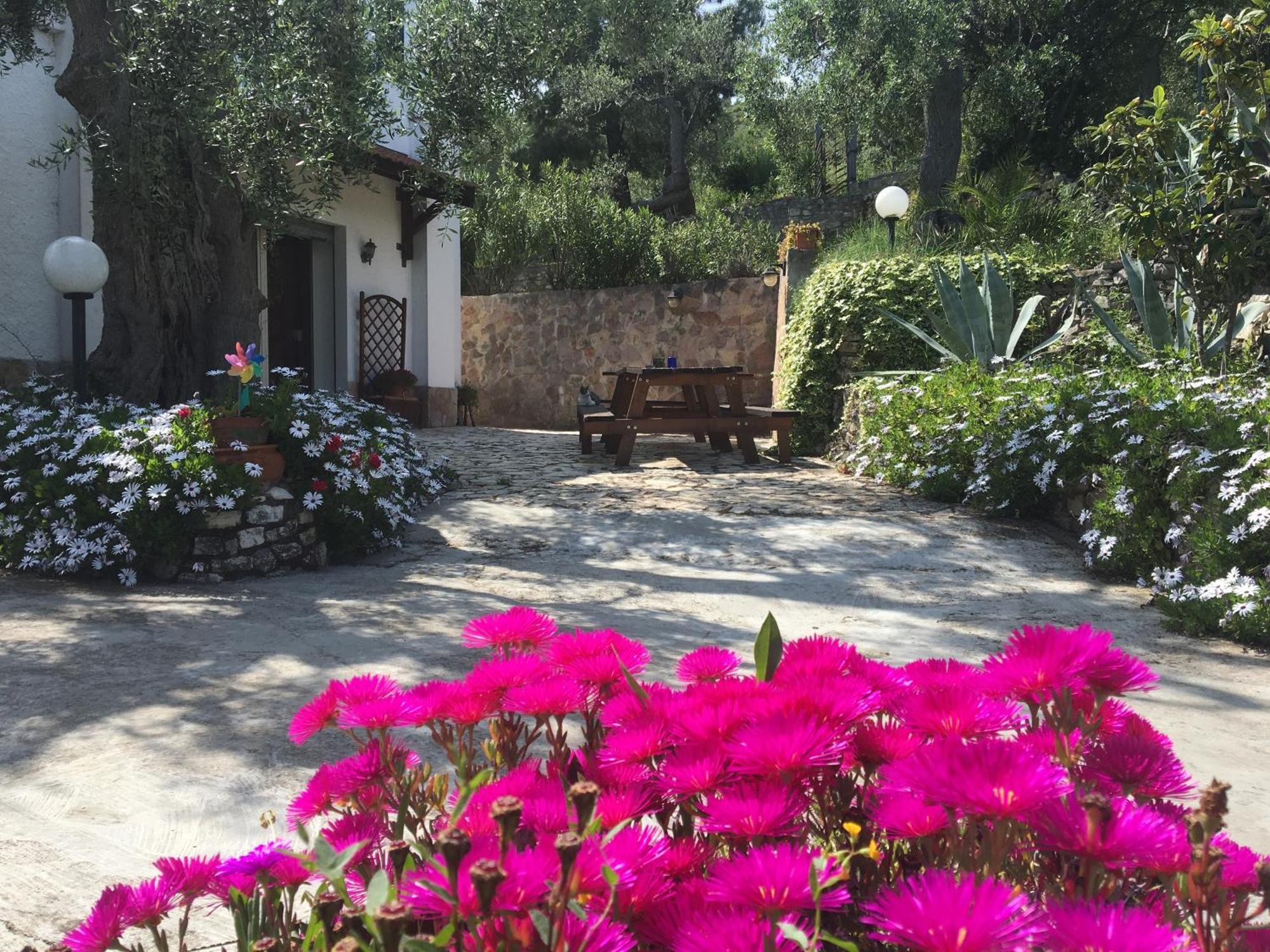 Azienda Agricola B&B Macchiaria Vieste Exterior photo